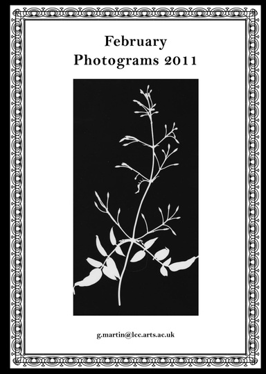 February Photograms 2011