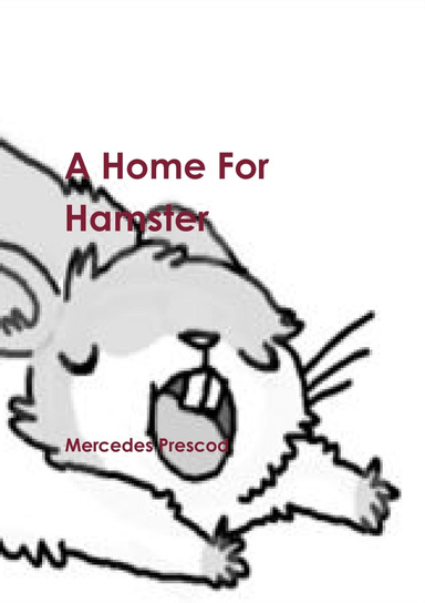 A Home For Hamster