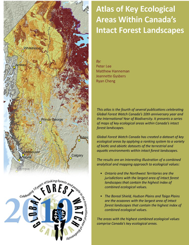 Atlas of ecological values within intact forest landscapes