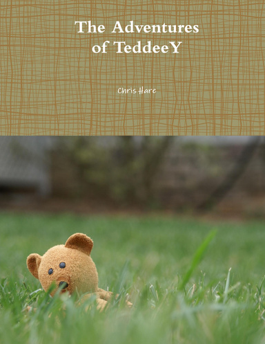 The Adventures of TeddeeY rev2