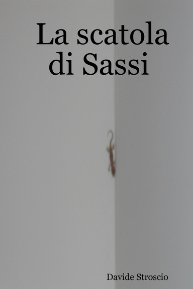 La scatola di Sassi
