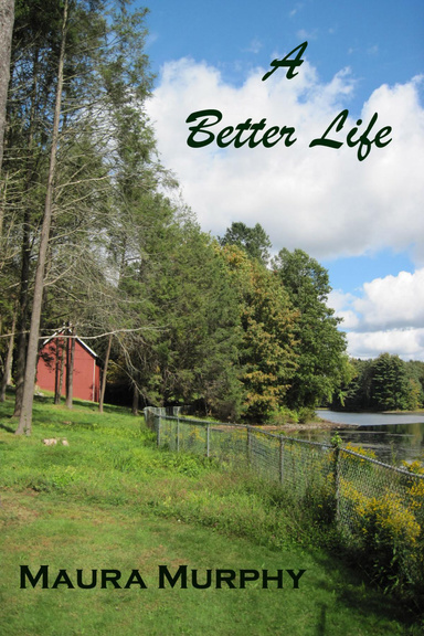A Better Life