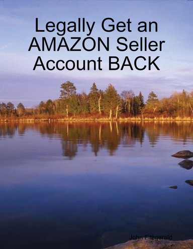 Legally Get an Amazon Seller Account Back