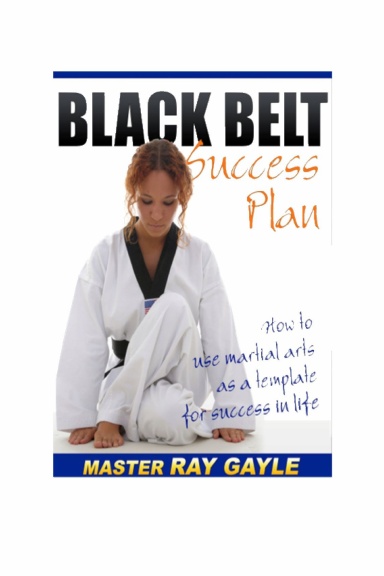 Black belt success plan