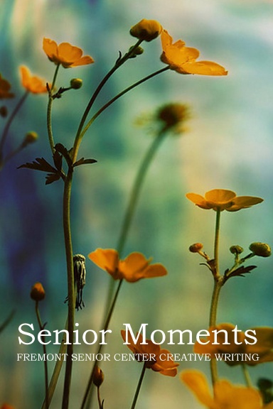 Senior Moments 2011