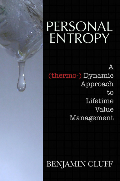 Personal Entropy: A Thermo-Dynamic Approach to Lifetime Value Management