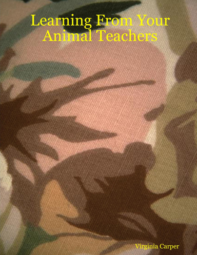 Learning from Your Animal Teachers