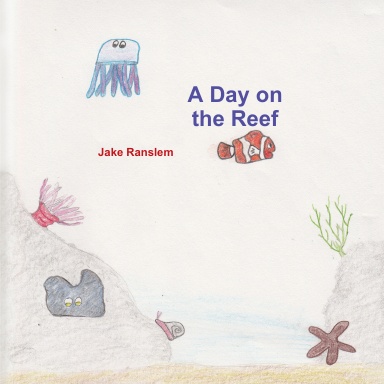 A Day on the Reef