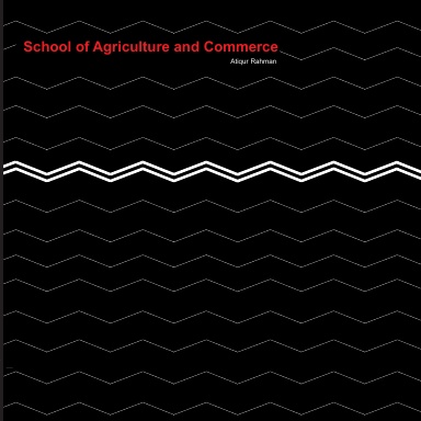 Thesis Book