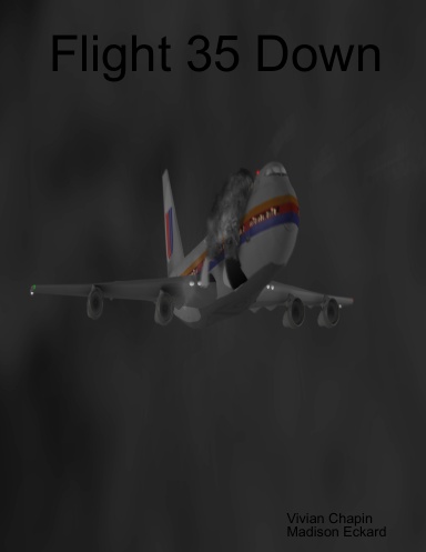 Flight 35 Down