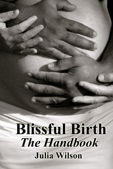 Blissful Birth ~ The Handbook