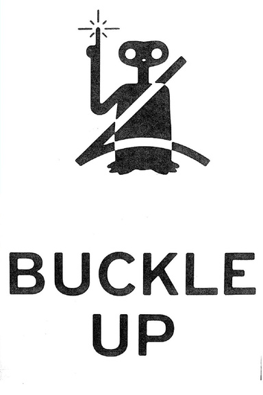 Buckle Up for Safety