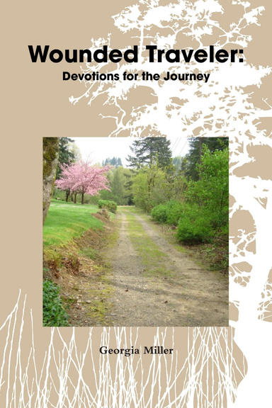 Wounded Traveler: Devotions for the Journey