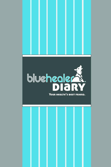 bluehealer diary perfect bound edition