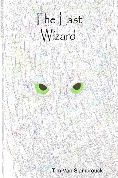 The Last Wizard
