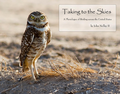 Taking to the Skies: A Photologue of Birds across the United States