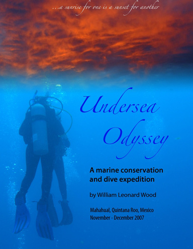 Undersea Odyssey