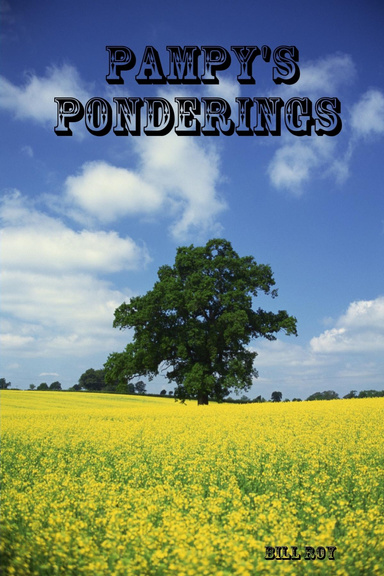 Pampy's Ponderings