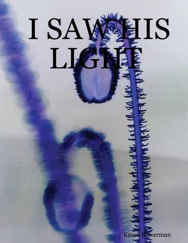 I SAW HIS LIGHT