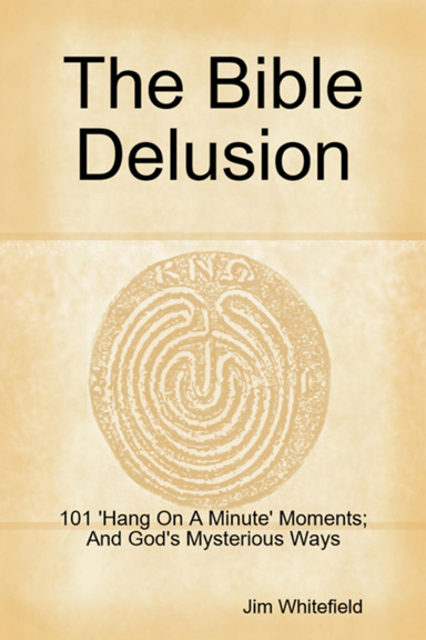 The Bible Delusion: 101 'Hang On A Minute' Moments; And God's Mysterious Ways