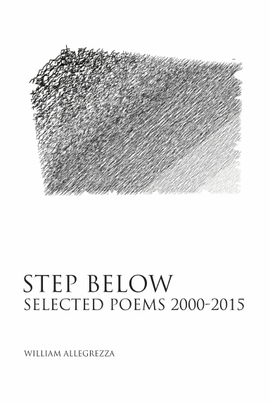 Step Below: Selected Poems 2000-2015