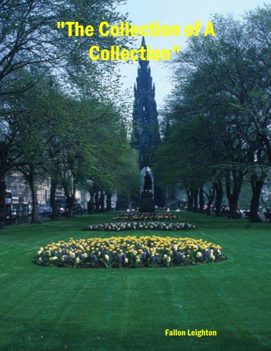 "The Collection of A Collection"