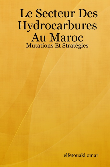 Le Secteur Des Hydrocarbures Au Maroc: Mutations Et Stratégies