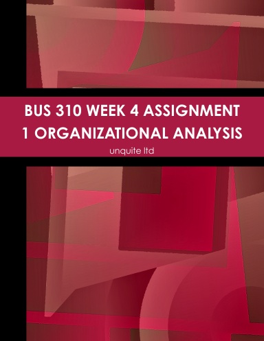 BUS 310 WEEK 4 ASSIGNMENT 1 ORGANIZATIONAL ANALYSIS