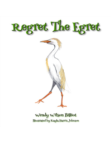 Regret the Egret
