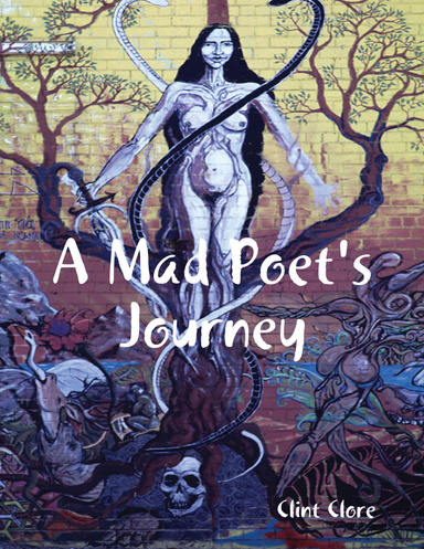 A Mad Poet's Journey