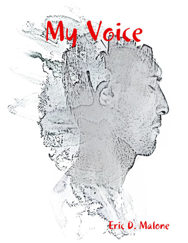 My Voice