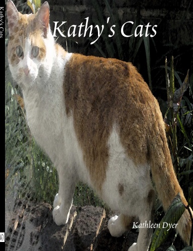 Kathy's Cats