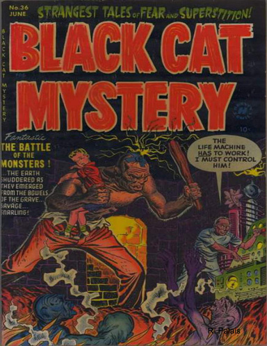 Black Cat Mystery