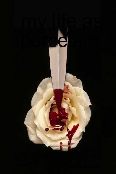 my life as porcelain