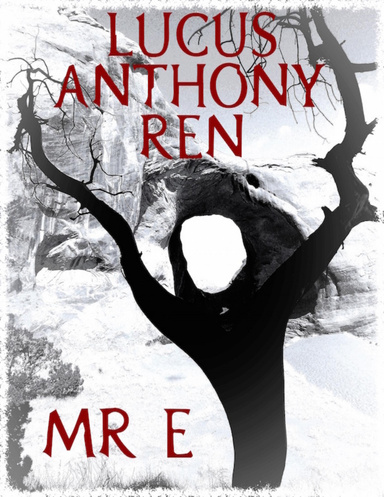 Mr E