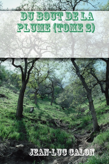 DU BOUT DE LA PLUME (tome 2)