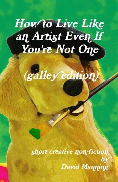 How to Live Like an Artist Even If You're Not One (galley edition)