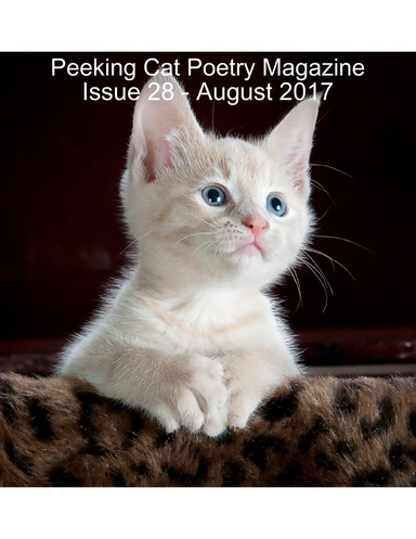 Peeking Cat Poetry Magazine Issue 28 - August 2017