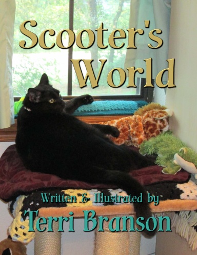 Scooter's World