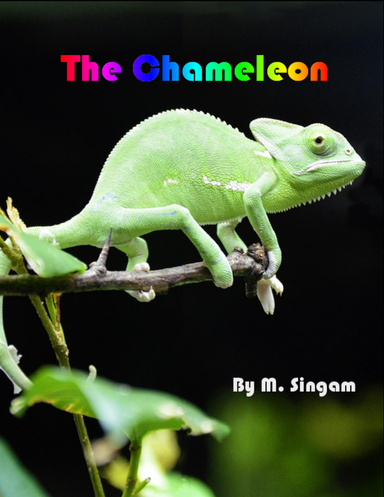The Chameleon