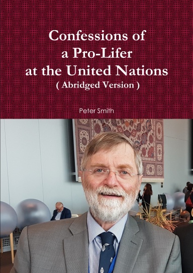 Confessions of a Pro-Lifer at the United Nations ( Abridged Version )