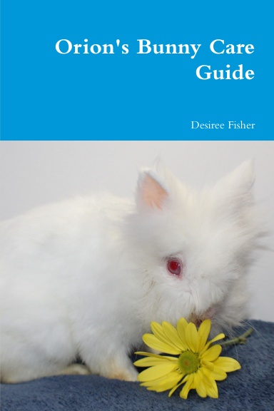Orion's Bunny Care Guide