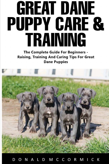 Great Dane Puppy Care & Training