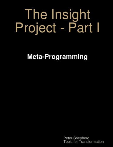 The Insight Project - Part I: Meta-Programming