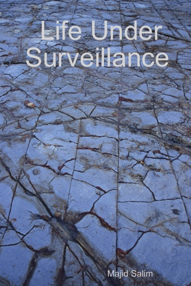 Life Under Surveillance