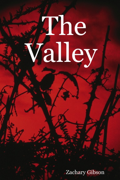 The Valley