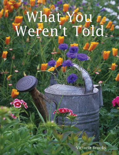 What You Weren't Told