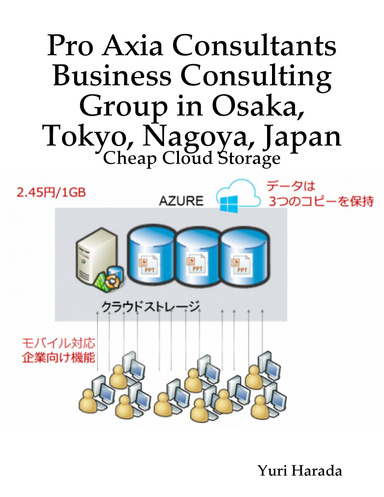 Pro Axia Consultants Business Consulting Group in Osaka, Tokyo, Nagoya, Japan: Cheap Cloud Storage