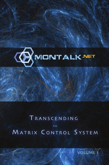 Transcending the Matrix Control System, Vol. 1