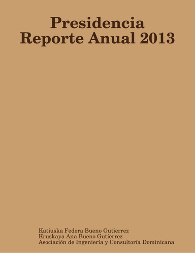 Presidencia Reporte Anual 2013